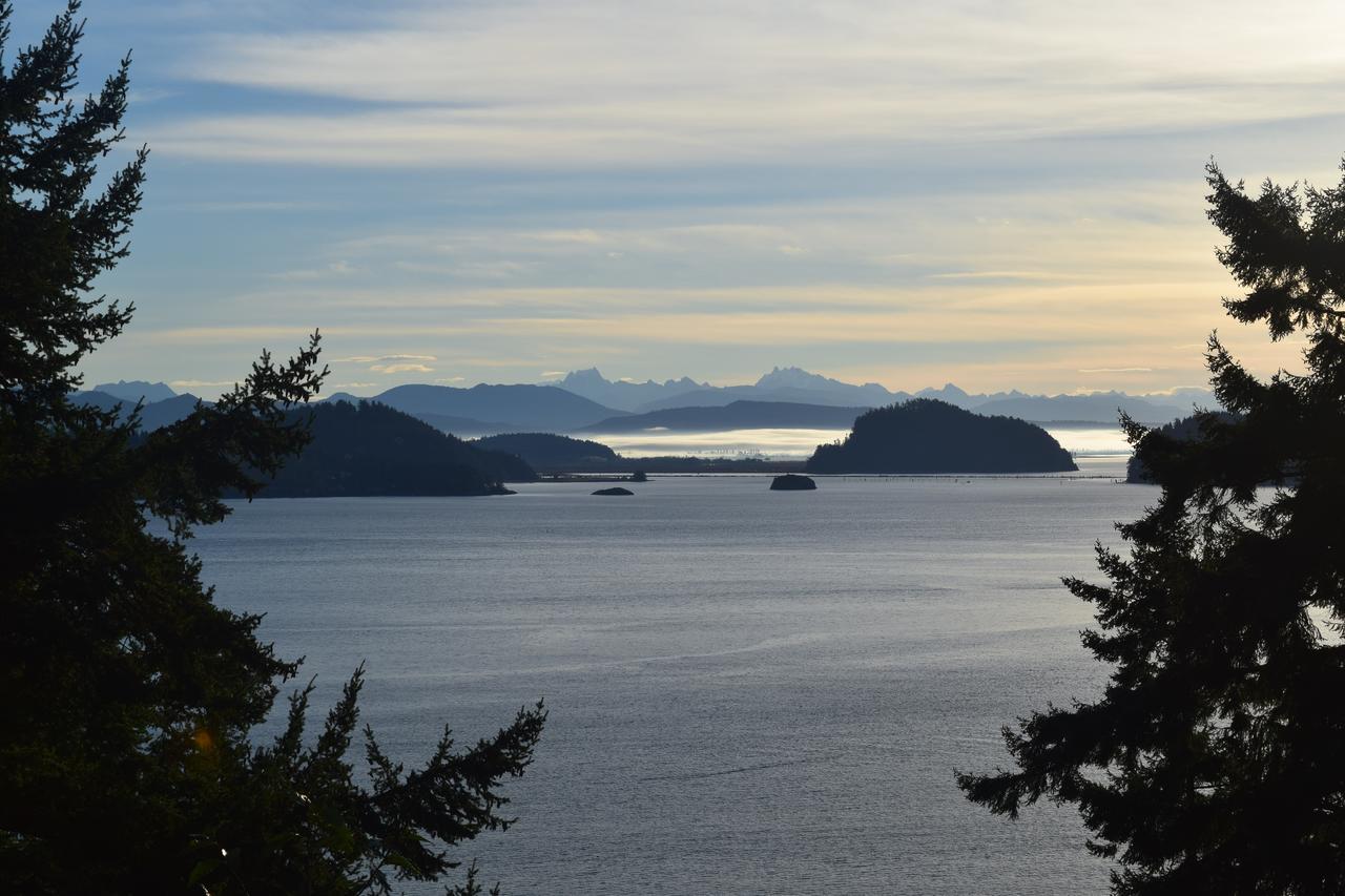 Bed and Breakfast The Bluff On Whidbey Oak Harbor Exteriér fotografie
